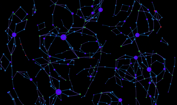 Graph-Based Investigation of Fraud Rings