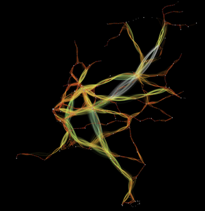 artofgraph-train7 (1).png