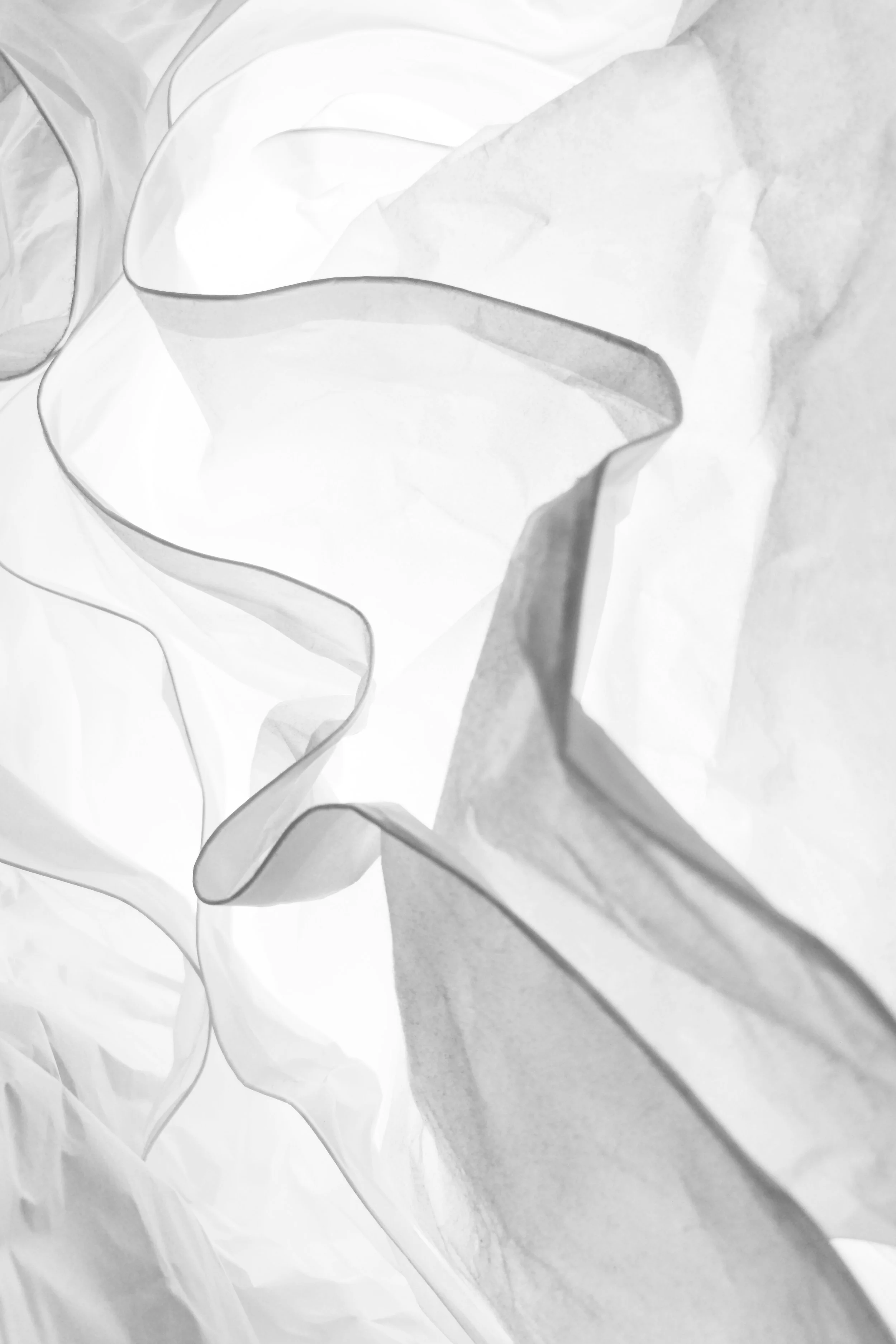 Close-up of crumpled white tissue paper with folds and shadows.
